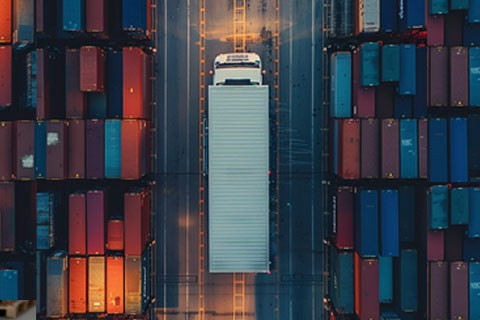 Customs, Logistics and International Transport